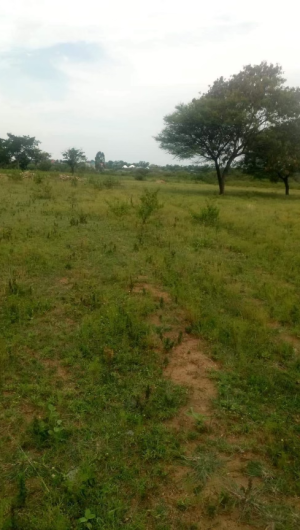 khiland Image of land currently set aside for the new brick and mortar Krip Hop Institute.
